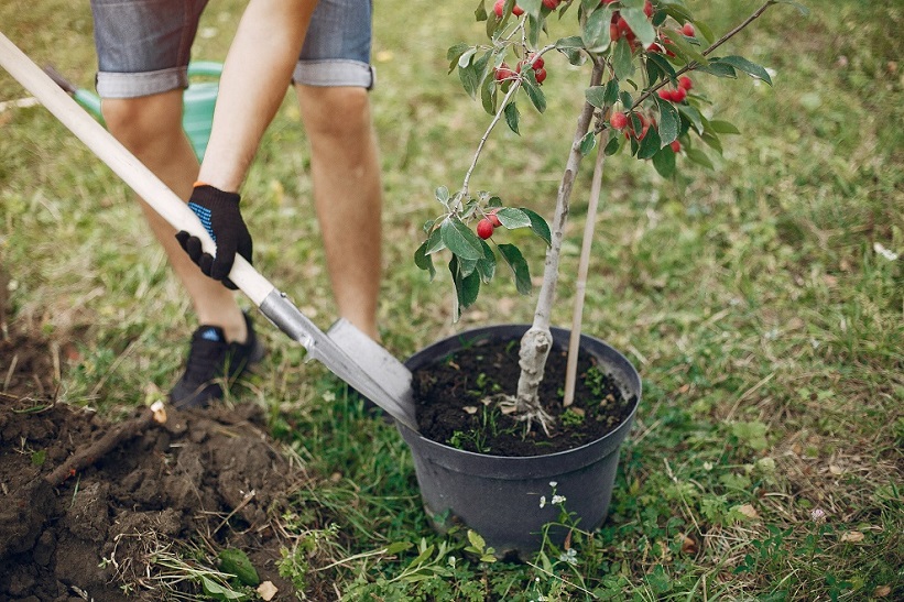 chantiers_participatifs