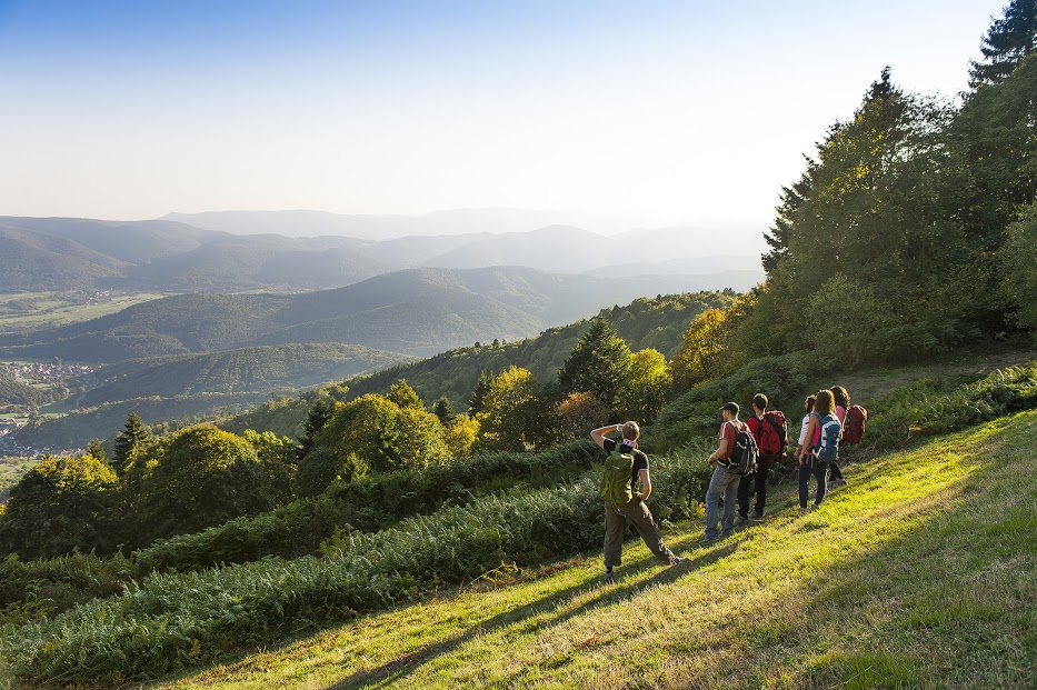 massif_des_vosges