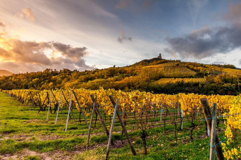 automne-alsace