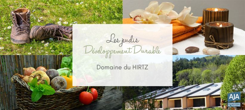 DD Domaine du HIRTZ DD Domaine du HIRTZ