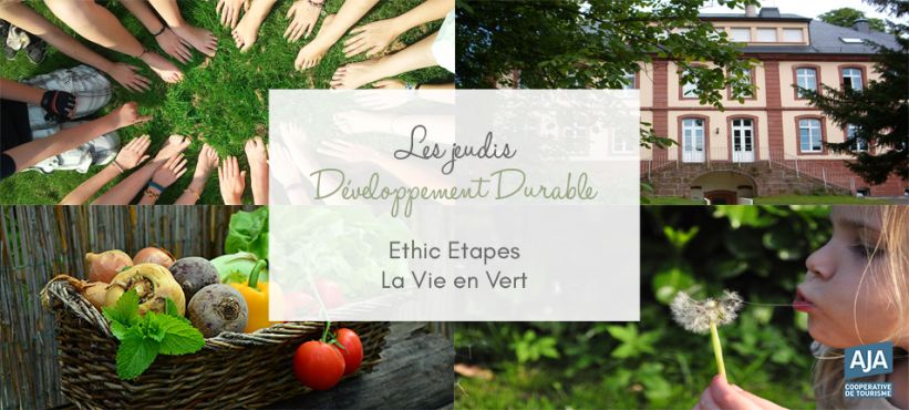 DD Vie en Vert DD Vie en Vert