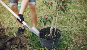 chantier nature