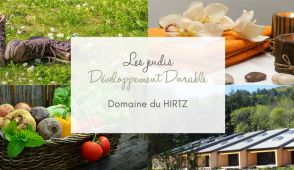 DD Domaine du HIRTZ