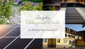 DD Maison du Kleebach